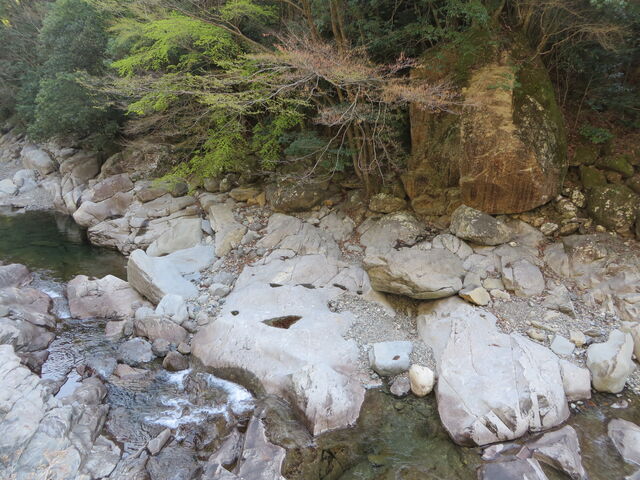 �Ԃ���񂳂�̐��k�J�i�啪���L����s�j�̓��e�ʐ^2