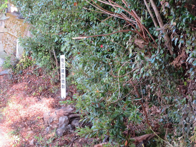 �Ԃ���񂳂�̗�����Õ��Q�̓��e�ʐ^1