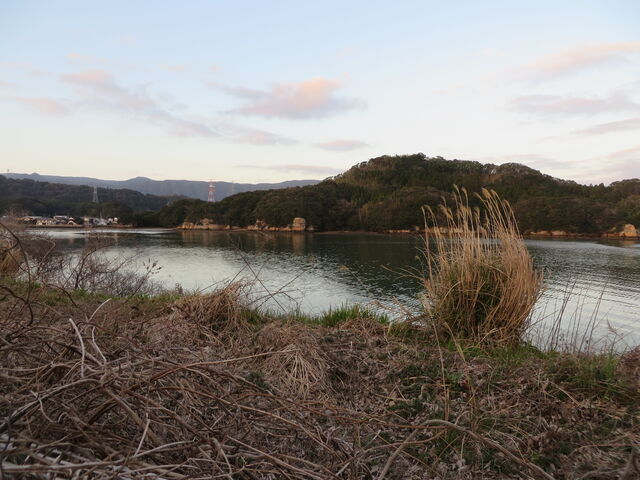 �C_�ɖ����p