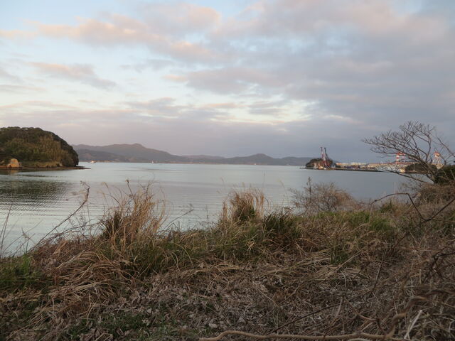 �C_�ɖ����p