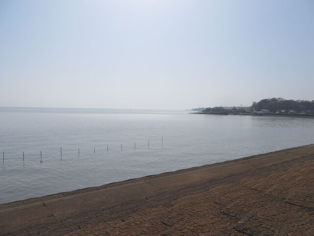 �C_�L���C�̊����i��O���������j