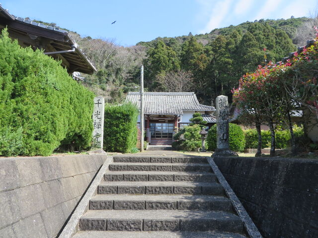 �Ԃ���񂳂�̐�����̓��e�ʐ^2