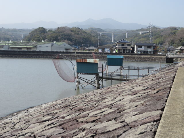 �Ԃ���񂳂�̒I���Ԃ̓��e�ʐ^1