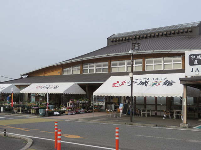 �Ԃ���񂳂�̃T���T���������q�F��ʊق̓��e�ʐ^1