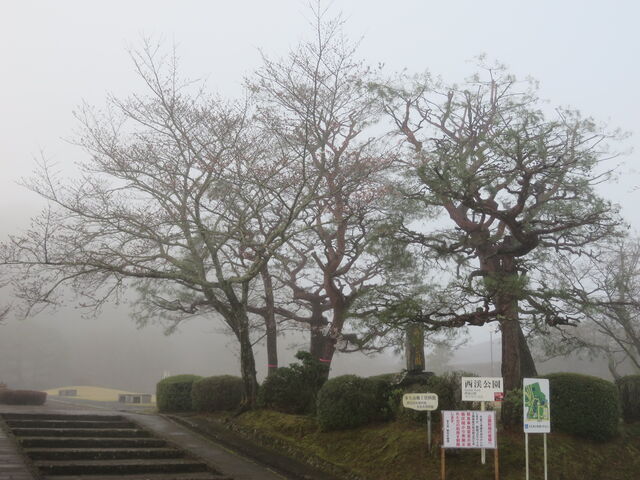 �Ԃ���񂳂�̐��k�����̃c�c�W�E���̓��e�ʐ^2