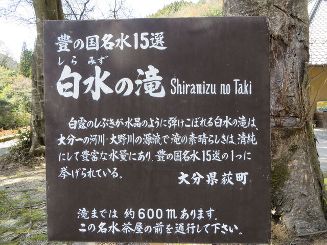 �Ԃ���񂳂�̗z�ڂ̗��E���������̓��e�ʐ^1