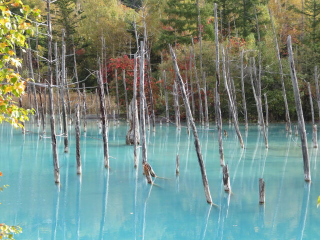 ���r_���r