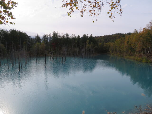 ���r_���r