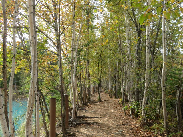 ���r_���r