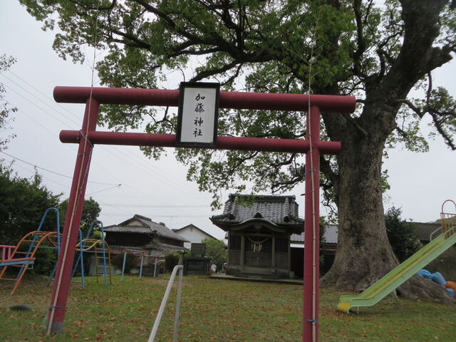 �Ԃ���񂳂�̉����_�Ёi�F�{�������s�j�̓��e�ʐ^1