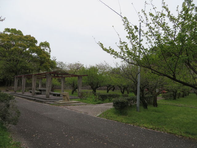 �Ԃ���񂳂�̏�R�����̓��e�ʐ^2