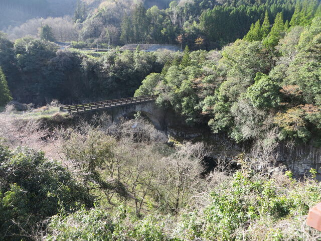 �o���_�o��E����