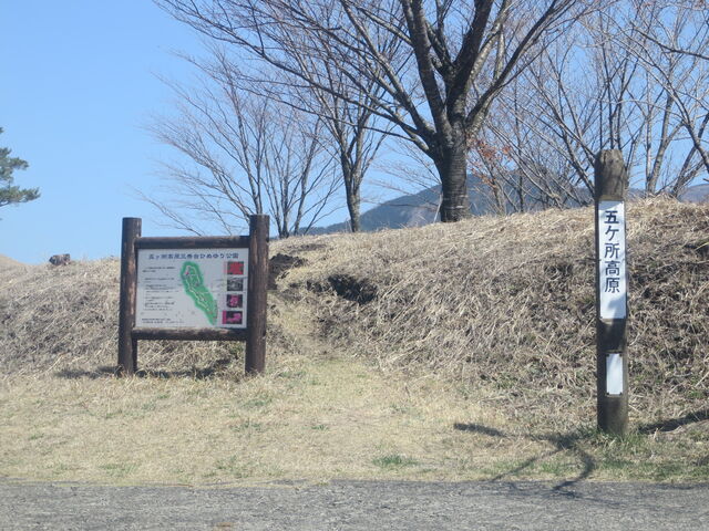 ����_�܃�������