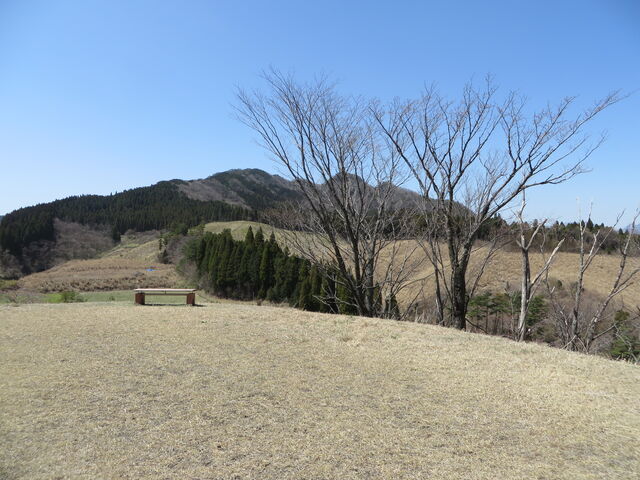 �Ԃ���񂳂�̌܃��������̓��e�ʐ^2