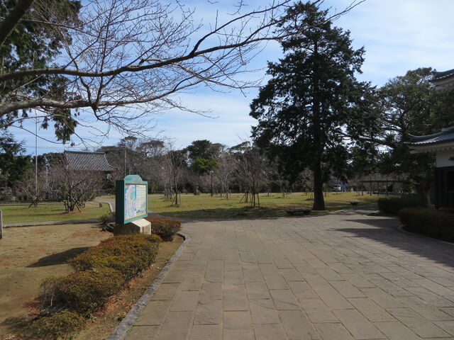 �Ԃ���񂳂�̋T�������̓��e�ʐ^4