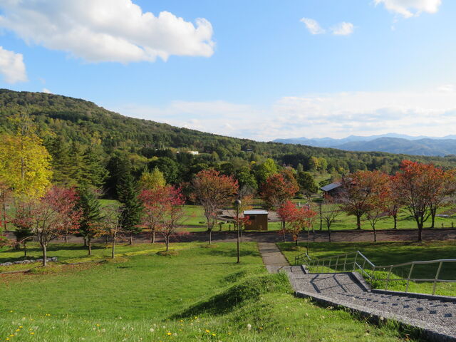 �G��������_�G������������w�������x