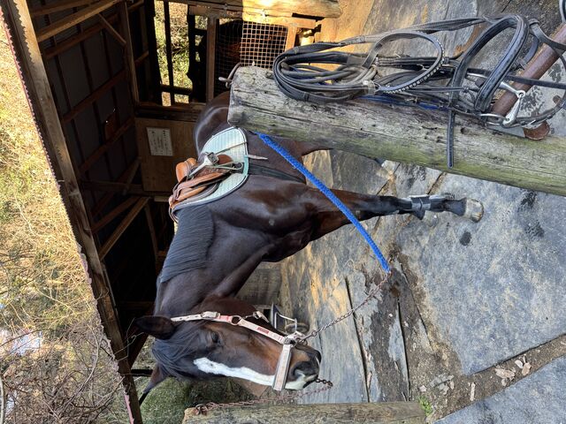 ���u�����_OISO�@��n�@�N���u