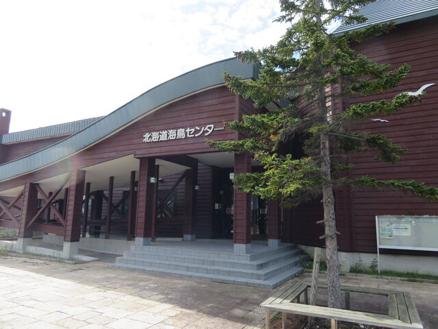 �k�C���C���Z���^�[_�k�C���C���Z���^�[