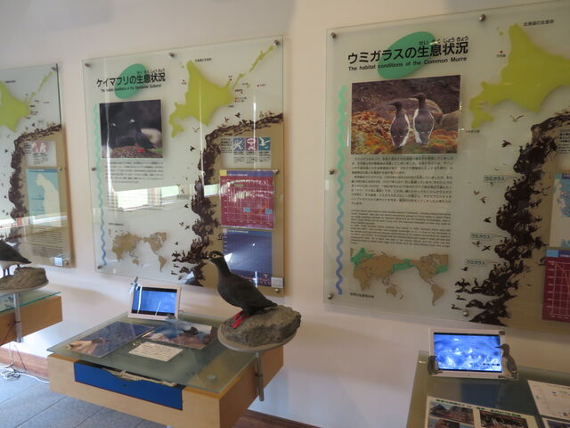 �k�C���C���Z���^�[_�k�C���C���Z���^�[