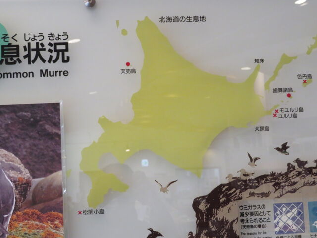 �k�C���C���Z���^�[_�k�C���C���Z���^�[