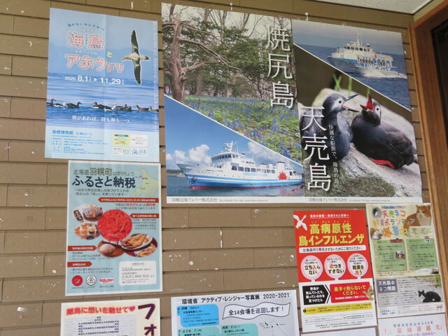 �L������̖k�C���C���Z���^�[�̓��e�ʐ^4