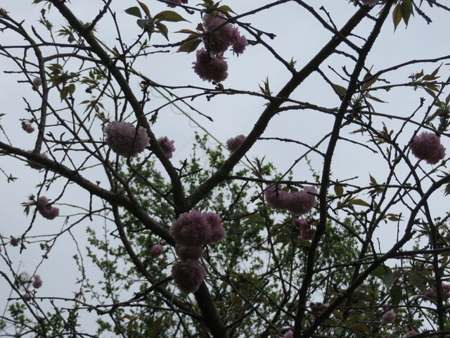 ���d��_�������