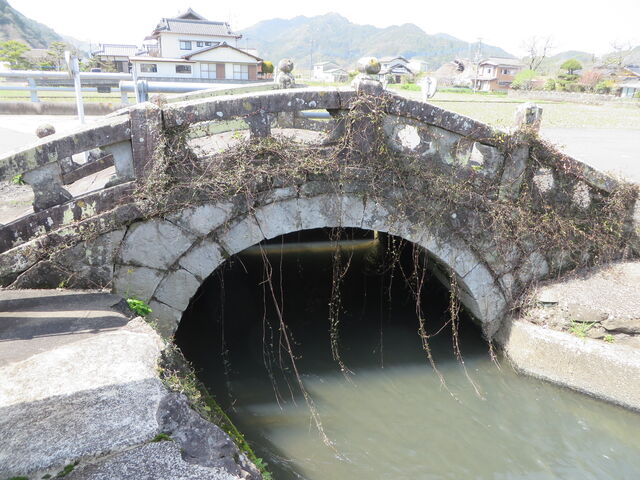 �Ԃ���񂳂�̐Α��ዾ���̓��e�ʐ^1