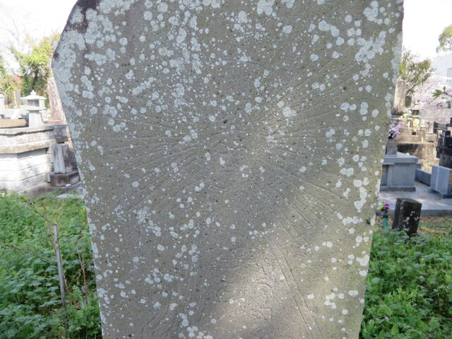 ��_��ɗ��n�C��