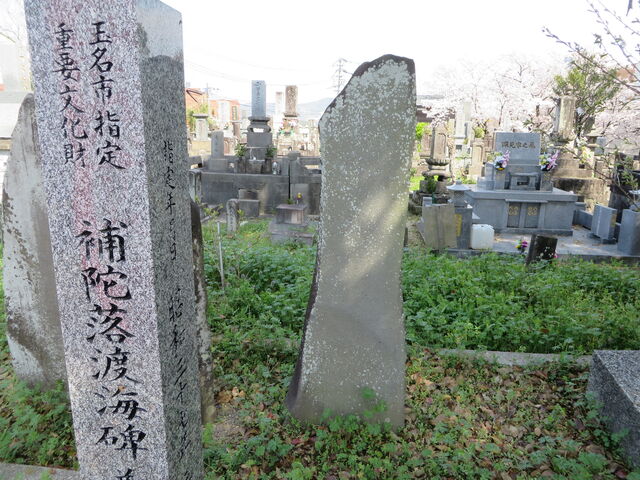 �Ԃ���񂳂�̕�ɗ��n�C��̓��e�ʐ^2