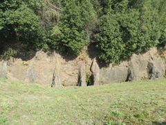 �Ԃ���񂳂�̔n�����̕@����ւ̓��e�ʐ^1