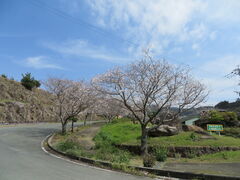 �Ԃ���񂳂�̏��V����ւ̓��e�ʐ^1