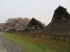 �Ԃ���񂳂�̒ˌ��Õ������ւ̓��e�ʐ^1