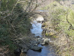 �Ԃ���񂳂�̑�J��ւ̓��e�ʐ^1