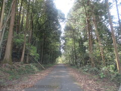 �Ԃ���񂳂�̒Óޖؑ��Y�i�O���Y���j�ւ̓��e�ʐ^1