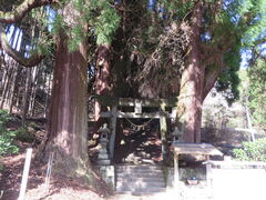 �Ԃ���񂳂�̌��j�Ђ̐��ւ̓��e�ʐ^1