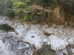 �Ԃ���񂳂�̐��k�J�i�啪���L����s�j�ւ̓��e�ʐ^1