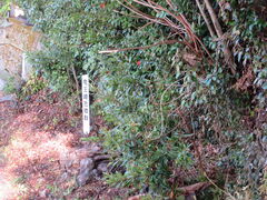 �Ԃ���񂳂�̗�����Õ��Q�ւ̓��e�ʐ^1