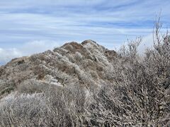 �_�働�[�v�E�F�C�̎ʐ^1