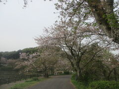 �Ԃ���񂳂�̗������R�����ւ̓��e�ʐ^1