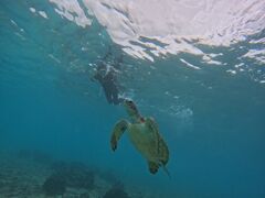 CHURA�{�Ó��̎ʐ^1