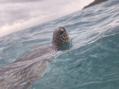 CHURA�{�Ó��̎ʐ^2