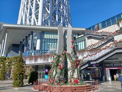 �̂�䂫����̓����\���}�`�ւ̓��e�ʐ^1