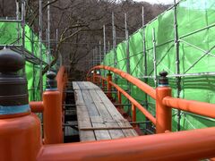 ���ʂ�����͎̉����ւ̓��e�ʐ^1