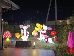 �V�R���� ������ ���P�Y�X�̎ʐ^1