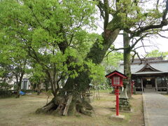 �Ԃ���񂳂�̋{���O�_�{�ւ̓��e�ʐ^1