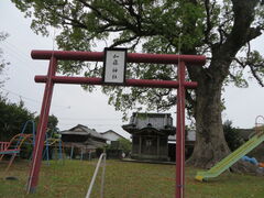 �Ԃ���񂳂�̉����_�Ёi�F�{�������s�j�ւ̓��e�ʐ^1