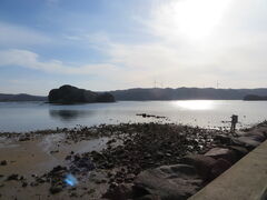 �Ԃ���񂳂�̉����p�ւ̓��e�ʐ^1