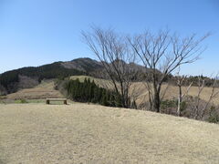 �Ԃ���񂳂�̌܃��������ւ̓��e�ʐ^1