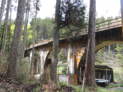 �Ԃ���񂳂�̋����S�{�����V�����ւ̓��e�ʐ^1