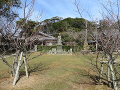 �Ԃ���񂳂�̋T�������ւ̓��e�ʐ^1